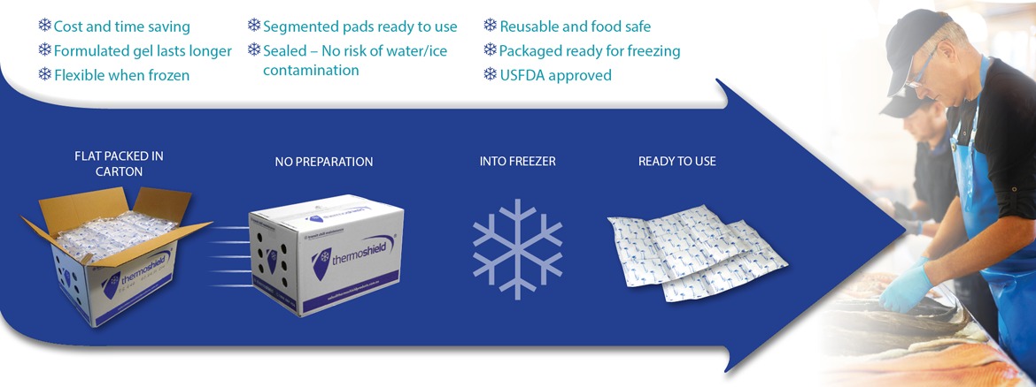 Ice Packs
